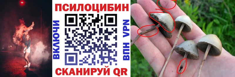 Псилоцибиновые грибы мухоморы Кызыл