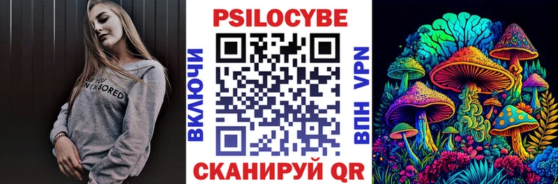 магазин продажи Кызыл Псилоцибиновые грибы Psilocybe