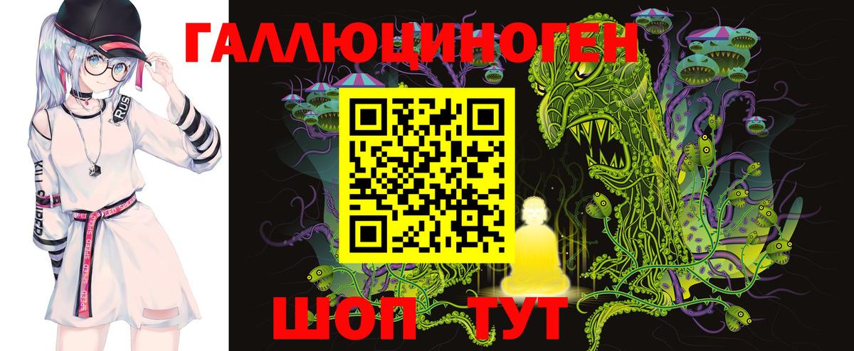 Псилоцибиновые грибы Psilocybe  Вход с VPN  Кызыл 