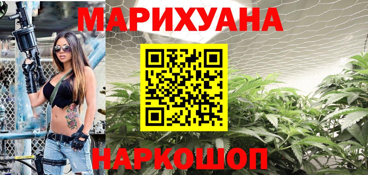 Марихуана планчик  Вход с VPN  Бошки марихуана сатива  Кызыл  Шишки марихуана Bruce Banner 